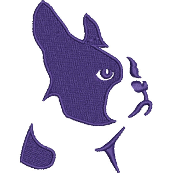 Boston Dog  Thumbnail